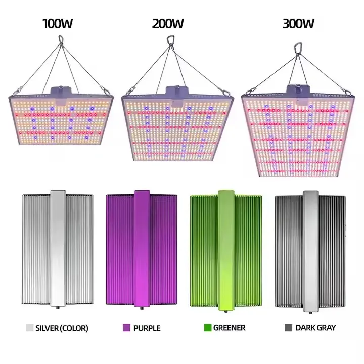 spider quantum board 03 spider quantum board 03