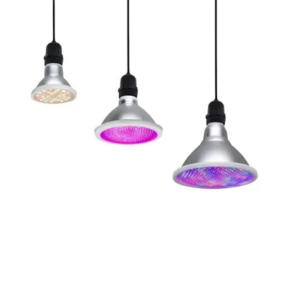 IR GROW крушка